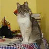 Отзыв от Дина Харитонова